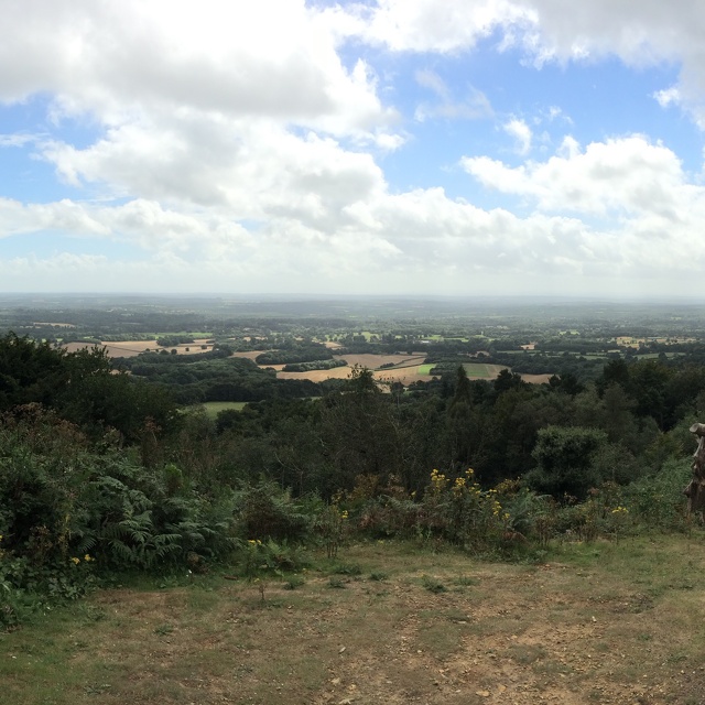 panorama from Leith Hill