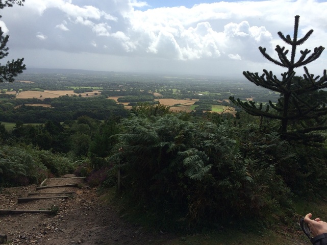 view from Leith Hill